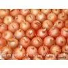 Onion,onion Supplier,Chinese Onion,fresh Onion,yellow Onion