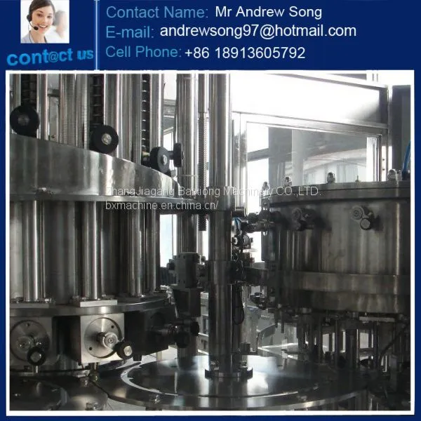 Glass Bottle Bottling Machine/Line For Juice Drinks photo-4