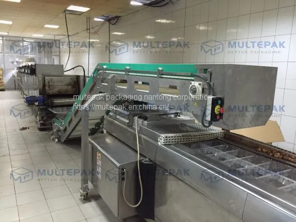 Dates Processing Line Dates Washing Drying Heating Vacuum Packaging Machine Multepak photo-4
