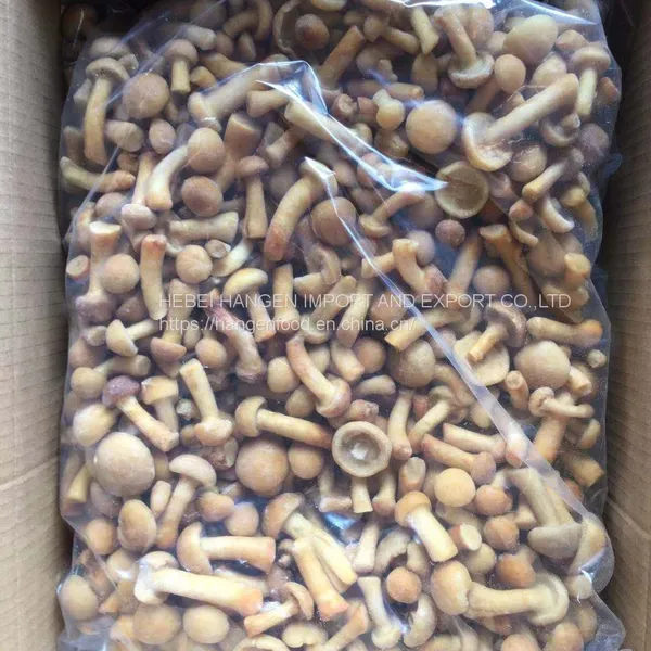 IQF Frozen Nameko Pilztaste Pilztaste photo-2