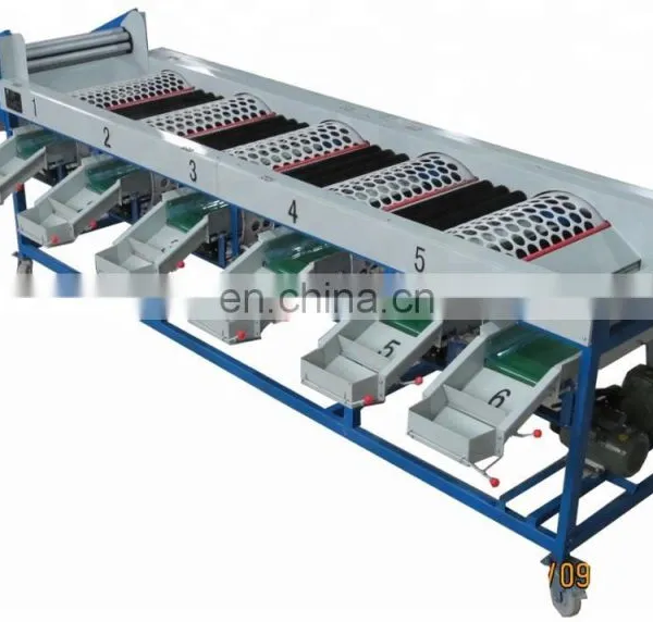 Customizable Fruit Vegetable Apple Orange Potato Tomato Washing Grading Machine photo-3