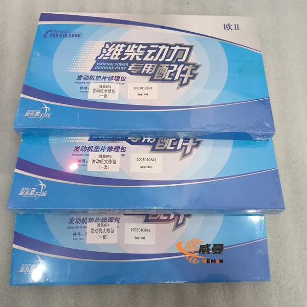High Quality Weichai Spare Part Repair Kit,1003010841