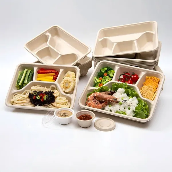 OEM/ODM Available Custom Square Sugarcane Bagasse Divided Tray With 1 Year Warranty