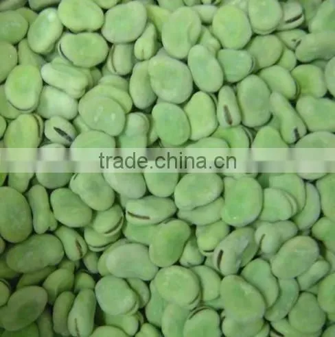 Frozen Peeled Fava Bean