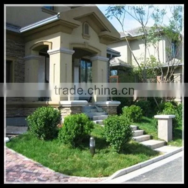 Steel Frame Glass Door&window for House