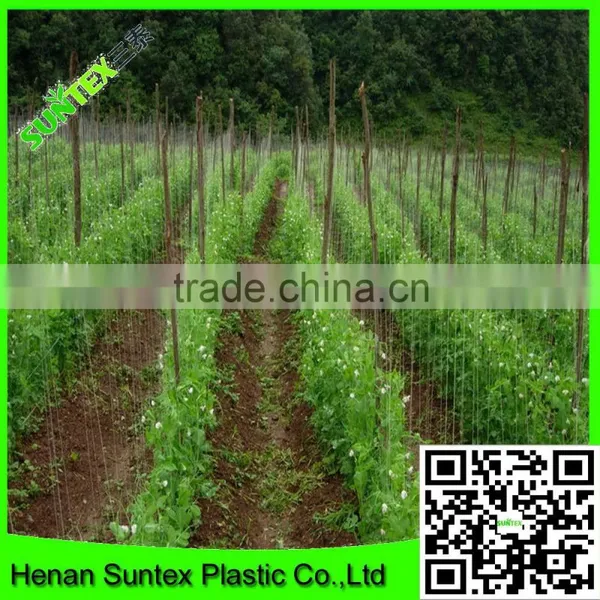 Strong Durable Trellis Netting Pea & Bean Support Net Tent Grow Net photo-3