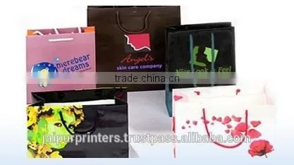 Luxury Wedding Paper/Gifting Carry Bag