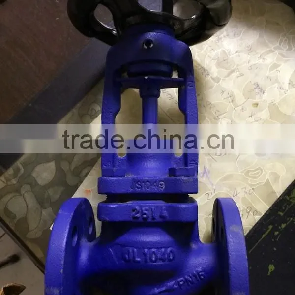 Bangladesh Cast Iron Globe Valve photo-2