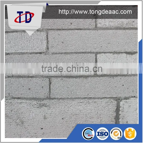 For Overseas Market China Autoclave Concrete Block photo-4