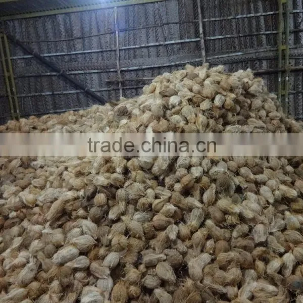 Fresh Coconuts Exporter photo-4