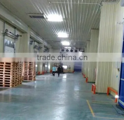 ONN-J02 LED Explosion-proof Light / Ip65 Tri-proof Tube 100-240v photo-4