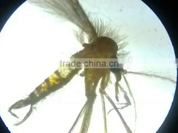 Microscope Prepared Slides ,MEDICAL PARASITOLOGY Slides, Prepared Slides