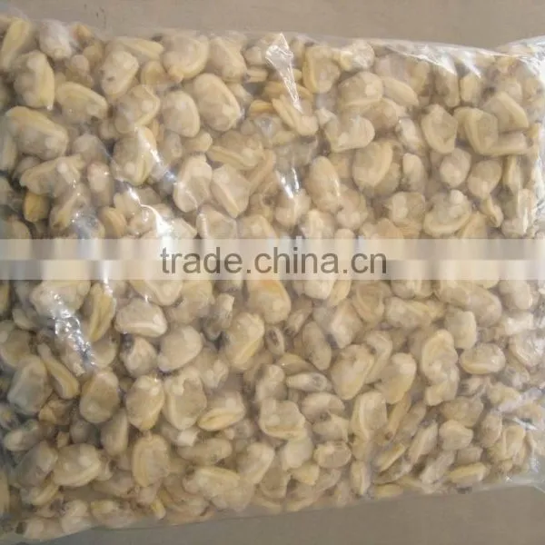 Frozen Clam Meat