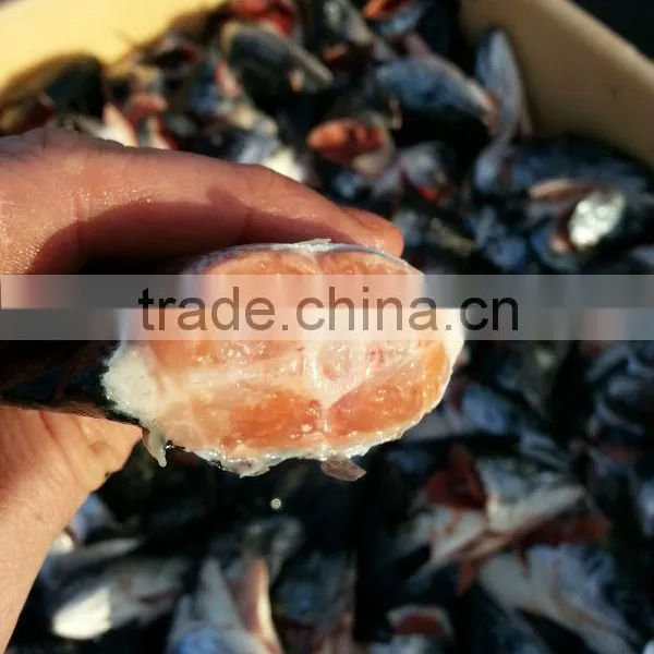 Salmon Tails photo-4