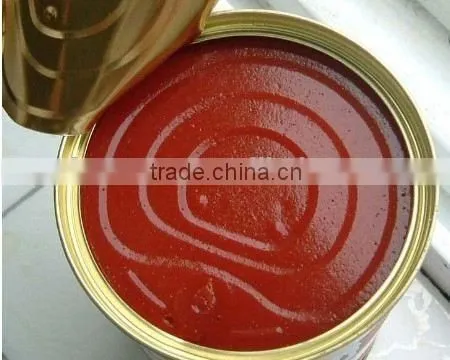 140G China Factory Hot Sell Nature Canned Tomato Paste photo-6