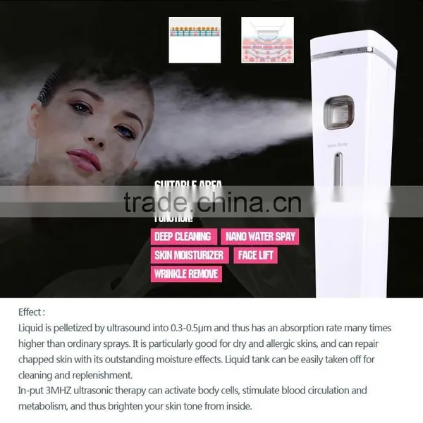 Mini Beauty Instrument Portable Nano Mist Spray With Massager Facial Steamer photo-2
