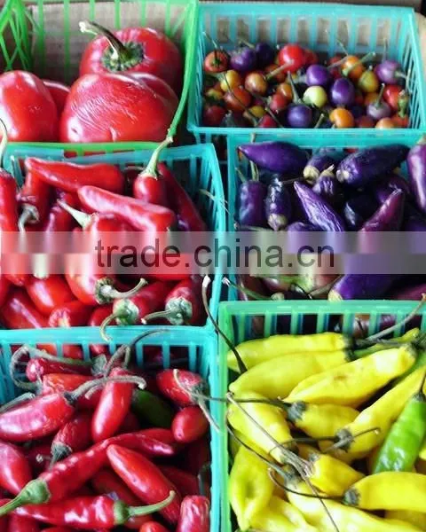 Chilli
