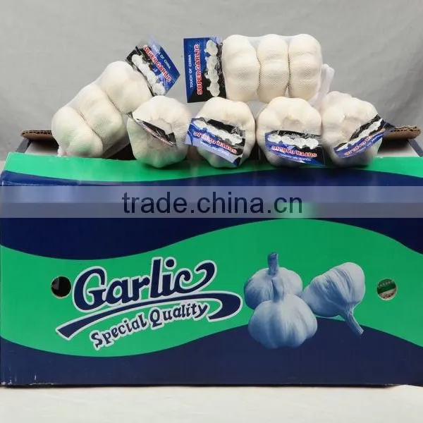 Hot Selling Normal White Fresh Garlic Price photo-4