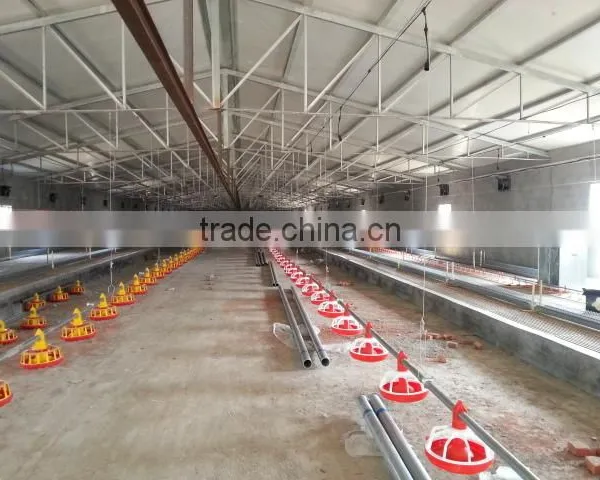 Parent Chicken Automatic Feeders for Female and Male photo-3