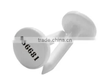 RFID Ear Tag For ID of Domestic Animal photo-4