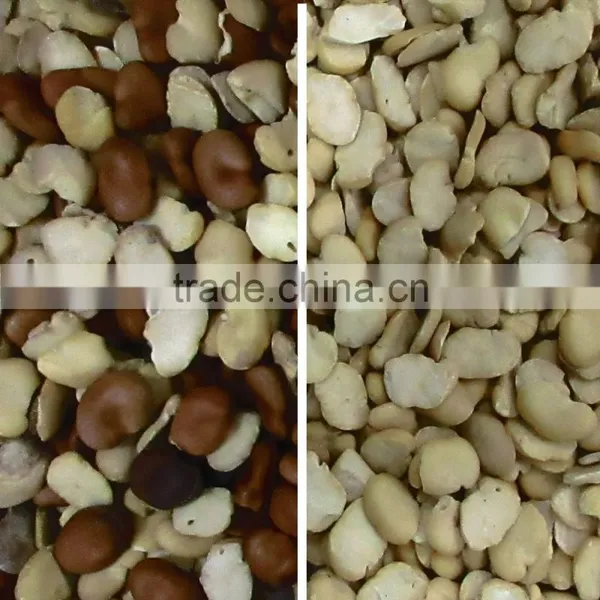 2016 High Accuracy Professional Grain Ccoffee Bean Sorting Machine For Coffee,Cocoa,Bean,Wheat photo-4