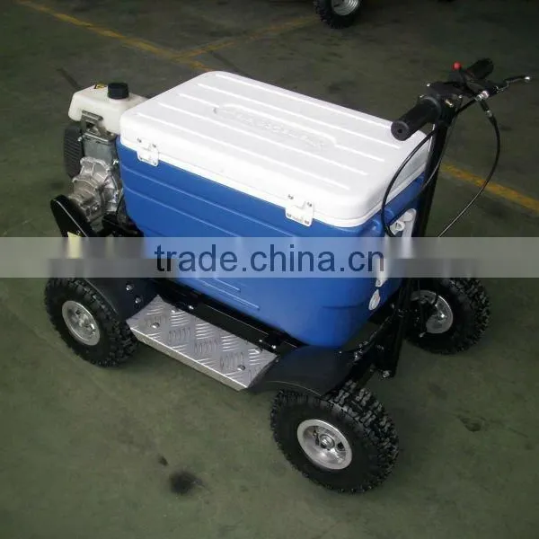 Hot Sale Cheap Popular Gas Cooler Scooter 43CC SX-G110 Popular photo-5