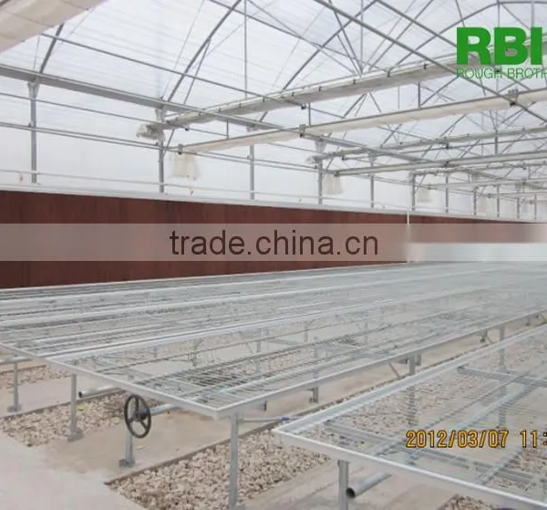 Vegetable Commercial Film Low Cost Greenhouse Multi Span High Quality for Agriculture photo-5
