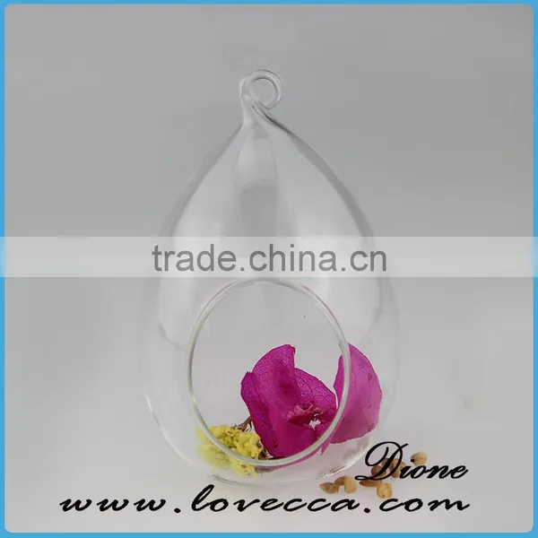 Wholesale Plant Terrarium Clear Glass Terrarium Globe Round Glass Globe Terrarium photo-3