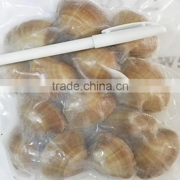 Frozen Cooked Surf Clam Skewer photo-2
