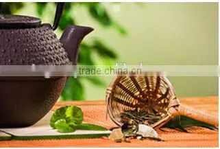 Premium Green Tea for European Market at Low Price photo-2
