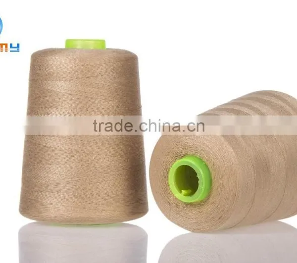 30/3 for Hot Sales in Hanchuan Polyester Sewing Thread photo-6