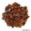 Sell Star Aniseeds