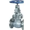 Globe Valve