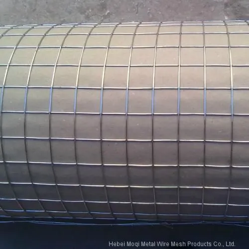 Cheap 1x1 Galvanized Welded Wire Mesh for Pets Bird Quail Rabbit Cage photo-2