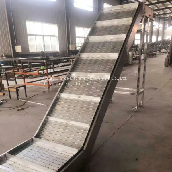 Chain Conveyor Manufacturer, Small Chain Conveyor Price