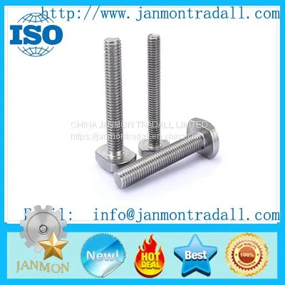 Customize--Supply Stainless Steel Bolt,Carbon Steel Bolt,High Tensile Steel Bolt,Mid-steel Bolt,T Head Bolt,Hex Head Bolt,Round Head Bolt,Square Head Bolt,Special Head Bolt,Zinc Galvanized Bolt,Black Oxide Bolt. photo-4