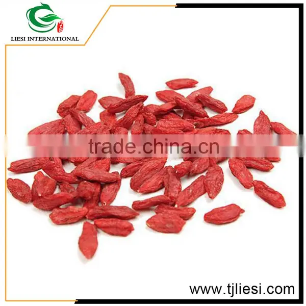 Low Cost High Quality China Goji Berry Extract photo-3