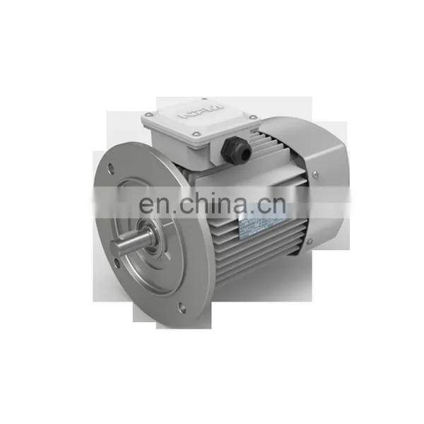 YE2 Series Industrial Electric Motor High Speed Three Phase Induction Motor for Machinery Asynchronous Motor photo-6