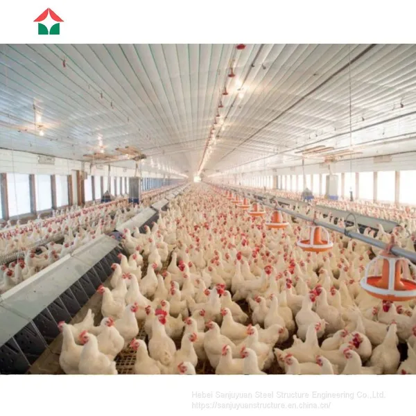 Steel Structure Chicken Houses for 1000 Chicken photo-3