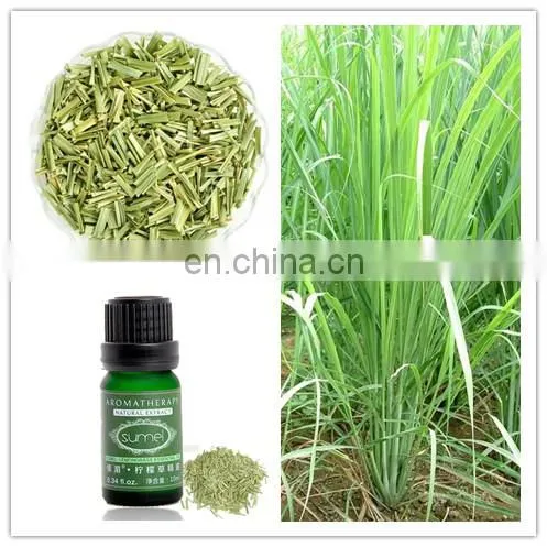 CHINA Factory Flower Essential Oil Distillation Extractor Extraction Machine photo-3