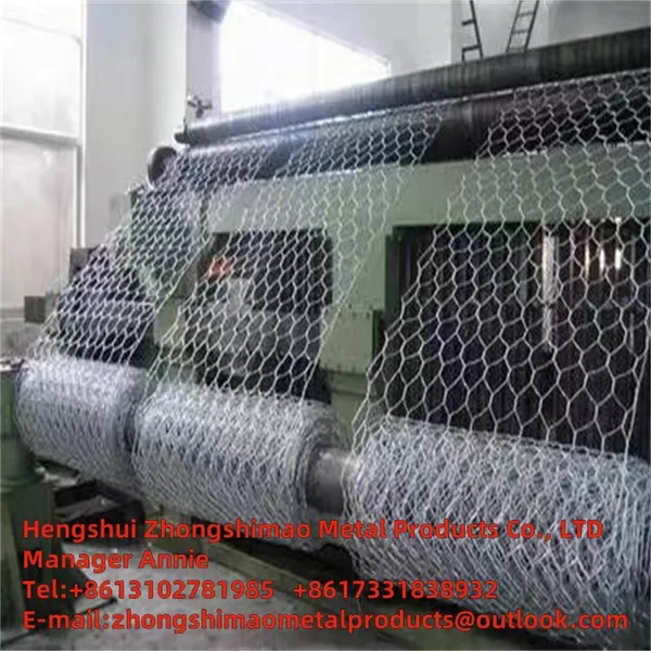 Hexagonal Wire Mesh/chicken Wire Mesh/protecting Wire Mesh/PVC Protective Layer/ Wire Mesh photo-5