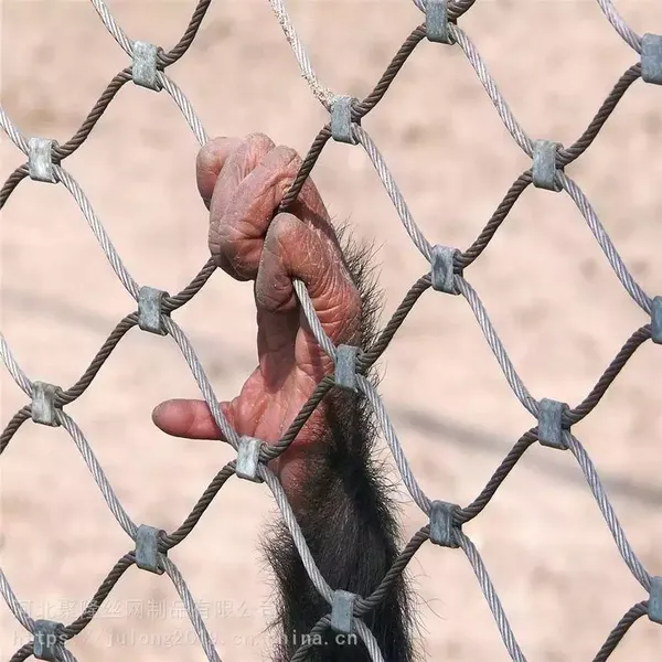 Stainless Steel Bird Cage Wire Mesh Animal Enclosure China photo-4