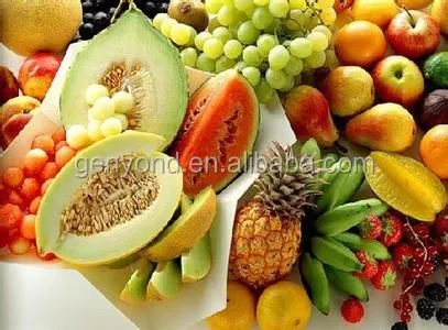 Besy Price Quick Freezing Machine for Industrial Processing Line Fruit and Vegetable Freezing photo-4