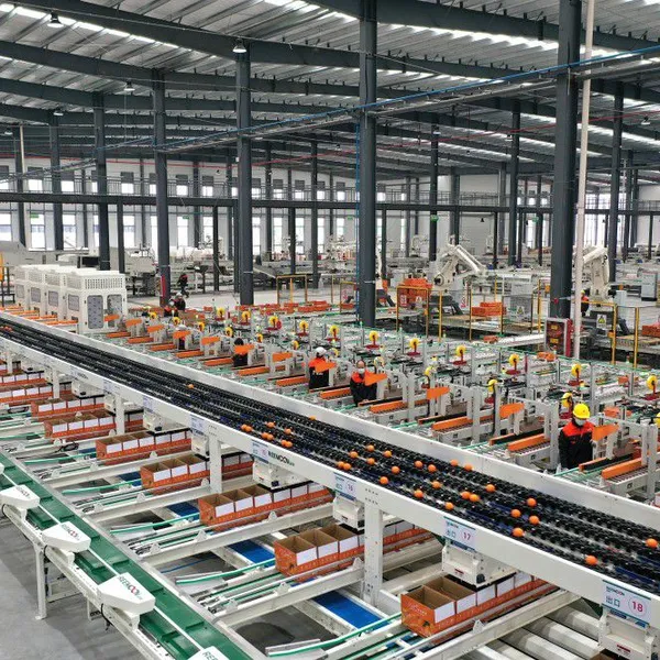 REEMOON Orange Intelligent Sorting and Grading Solution, Oranges Sorter Machine, Grading Equipment photo-2