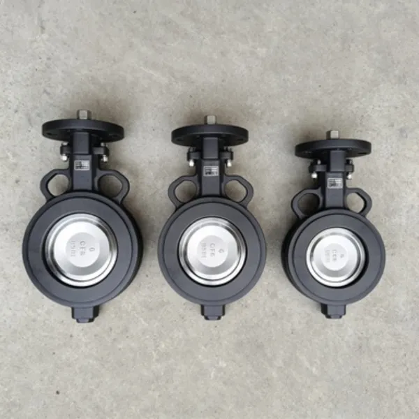 DN50-DN600 Marine Butterfly Valves for Shipboard Seawater Systems photo-5