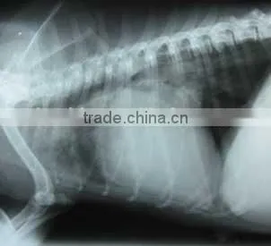 Medical Thermal x Ray Film,medical Thermal Dry Film ,medical Surgical Consumables