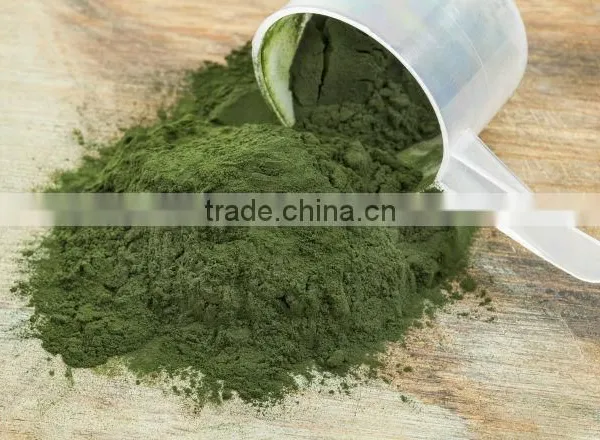 Spirulina Powder