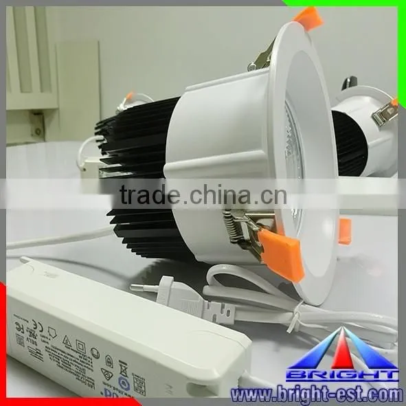 Bright Led Lighting COB Downlight, Ceiling Install Led Lights, Led Down Light 25W