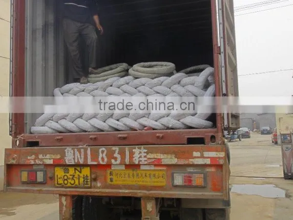 Electric Galvanizing/Galvanizing Steel Wire Manufacturer Providing Free Sample photo-5