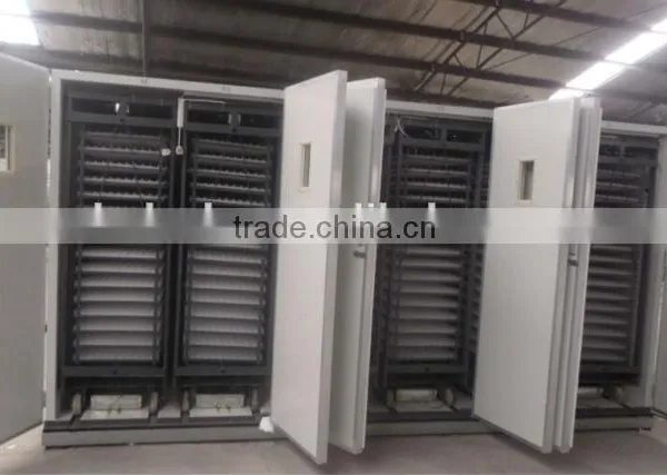 Brooder Thermostat Egg Hatcher For sale